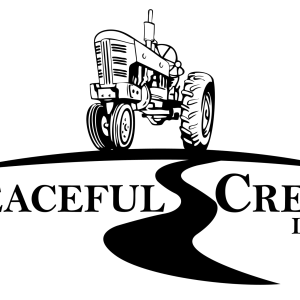 PC LOGO